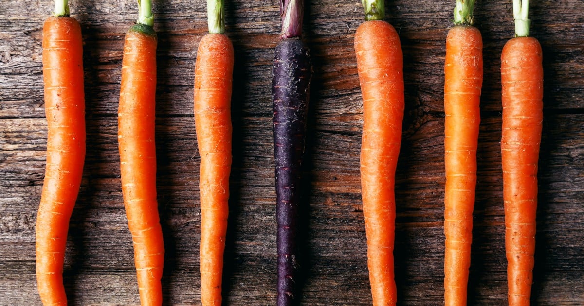 Purple Carrot Plant Based Meal Kit Changes Mealtime The Good Food Purple Carrot Plant Based Meal Kit Changes Mealtime The Good Food